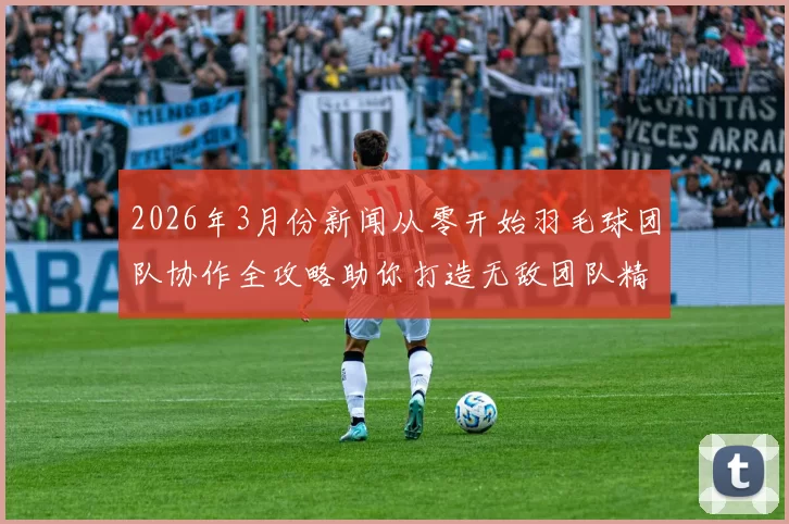 2026年3月份新闻从零开始羽毛球团队协作全攻略助你打造无敌团队精神与默契配合